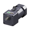 200 W (1/4 HP) AC Gear Motors