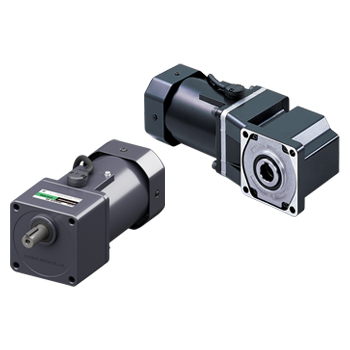 BH Series Single-Phase Induction Motors