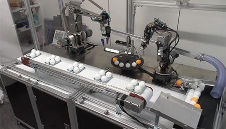 Robot Application - Inspection Line