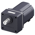 750 W Brushless DC Motor