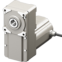 Brushless Motor Stainless Steel 200 W (1/4 HP)